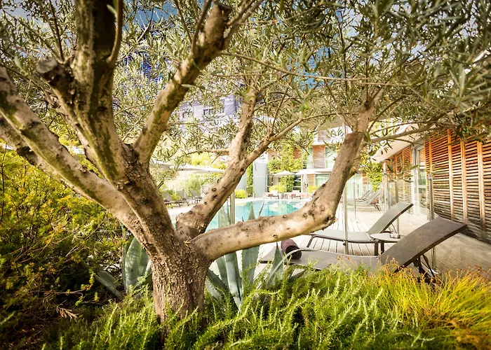 Courtyard By Marriott Hotel